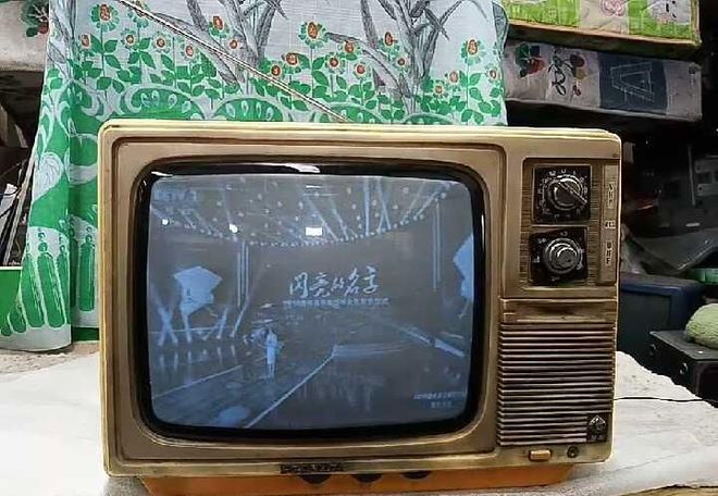 金花如今三家易主只剩下一家成为一线品牌尊龙凯时ag旗舰厅网站中国冰箱界的四朵