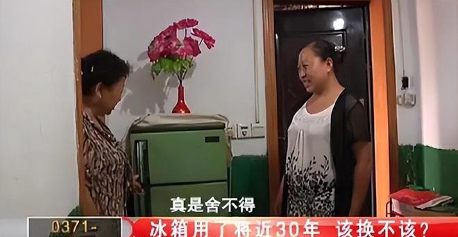 金花如今三家易主只剩下一家成为一线品牌尊龙凯时ag旗舰厅网站中国冰箱界的四朵(图4)